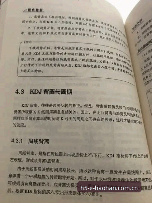 迪班察选秀报告解读：低失误养成路线操作教程